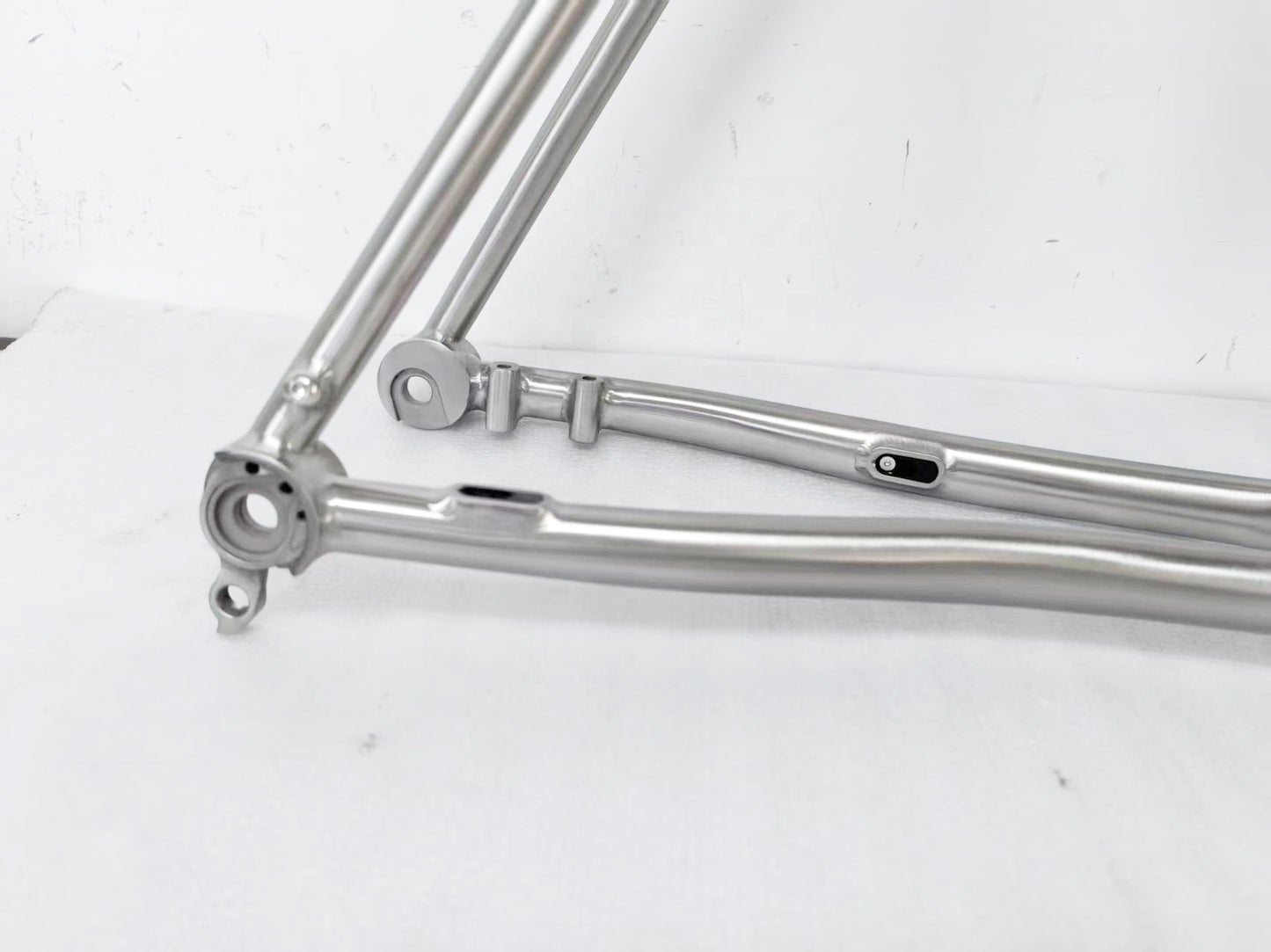 Bravelos Titanium Race frame (standaard)