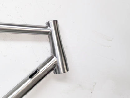 Bravelos Titanium Race frame (standaard)